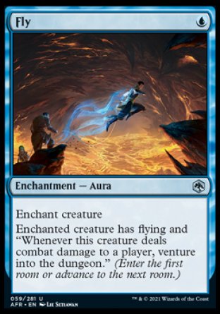 Magic | Fly [Dungeons & Dragons: Adventures in the Forgotten Realms] | The Nerd Merchant