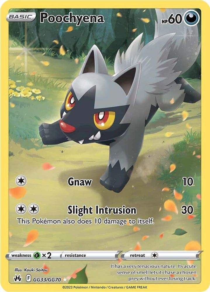Pokemon | Poochyena (GG33/GG70) [Sword & Shield: Crown Zenith] | The Nerd Merchant