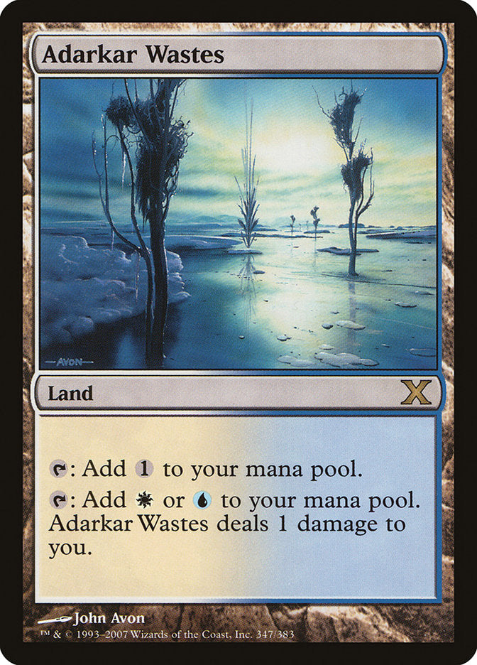Magic | Adarkar Wastes [Tenth Edition] | The Nerd Merchant