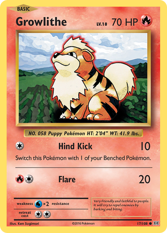Pokemon | Growlithe (17/108) [XY: Evolutions] | The Nerd Merchant